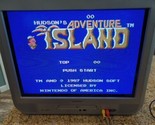 Vintage - Adventure Island Nintendo Entertainment System NES Cartridge Only - $13.85