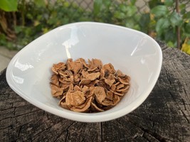 Walnut Shells Organic chips Natural Plant Minimize Hair Loss Dried Organ... - $11.20