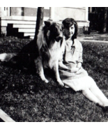 Beautiful Young Lady With Collie Dog Outside Photograph Vintage Photo An... - $15.95