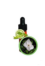 Magnolia Absolute Oil - 3.7ml (1/8oz)- 100% Pure Magnolia Grandiflora - £23.22 GBP