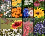 1500 Seeds Wildflower Mix Hummingbird Butterfly Seeds Perennials Annuals... - £7.18 GBP