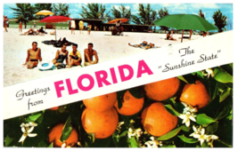 Greetings from Florida the Sunshine State Florida Postcard Posted 1959 - £6.94 GBP