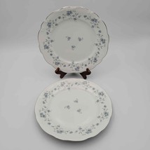 Vtg Johann Haviland Blue Garland China Dinner Plates Floral Pattern Set Of 2 - £30.44 GBP