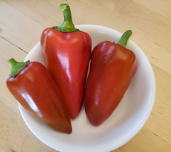 US Seller Ajvarski Peppers 20 Seeds Sweet And Great For Frying Or Grilling New F - $4.60