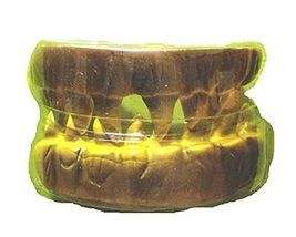Creepy Horror Teeth Fangs Dentures Zombie Monster Pirate Costume Accessory-Larp( - £4.66 GBP