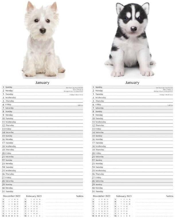 2024 Calendar Super Slim Dogs or Puppies Wall Calendar X 1 Random