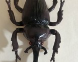 Bug Insect Brown 6” Creepy Crawler Red Eyes T5 - $4.94