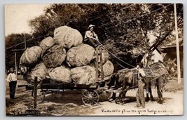RPPC Kansas is the Place we Grow Large Cabbage Beautiful Horses Postcard G21 - £23.52 GBP