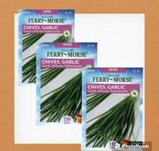 9 pack Chives Garlic Herb Seeds NON-GMO - Ferry Morse  12/23 - $25.73