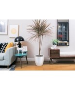 Green Bean Buddy Self Watering Planter, Ivory 12″ - $38.60