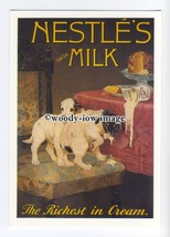 ad0670 - Nestles&#39;s Swiss Milk - Puppie&#39;s Stealing Milk - Modern Advert P... - £1.99 GBP