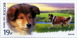 Russian Stamps - Fauna of Russia  Dogs breeds Колли Марки - £5.42 GBP