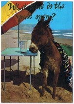 Postcard Donkey On Beach What Time Do The Pubs Open - $2.89