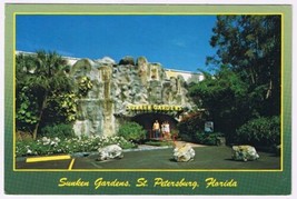 Postcard Sunken Gardens St Petersburg Florida - $2.96