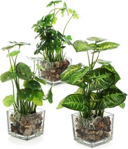 Mygift Set Of 3 Artificial Plants, Faux Tabletop Greenery W/Clear Glass Pots - £31.26 GBP