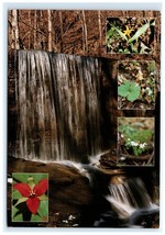 New River Gorge National River Big Branch Trail Falls WV Postcard - $5.95
