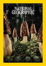 National Geographic Magazine April 2024 FUNGI Fashion Graveyard Whooping Cranes - £5.29 GBP