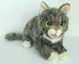 Lil Bub Cuddle Barn Cat Kitty Cat Plush Stuffed Animal Green Eyes Realis... - $35.63