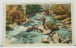Pennsylvania Rapids and Riffles Waynesboro to Hummelstown 1930s Postcard... - £4.65 GBP