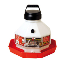 Little Giant Plastic Poultry Waterer 3 Gallon Dent-proof Heavy-duty Easy-to-fill - £48.71 GBP
