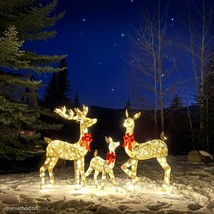 Christmas Deer Family Set 3-PC Lighted Outdoor Yard Decor Gold White LED Lights - £210.99 GBP