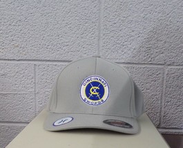 Flexfit AHL Hockey Cincinnati Swords Embroidered Hat Ball Cap New - $26.99