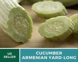 30Pcs Armenian Cucumber Yard long Heirloom Seed Cucumis melo var flexuosus Seeds - £15.53 GBP