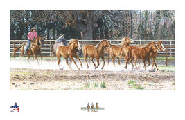 MINIATURE GICLEE PRINT- &quot; #7 - MICHELLE ALLEY&quot;  - $129.00