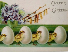 Easter Postcard Embossed Baby Chicks Eggs Vintage Saratoga Springs New York - $9.00