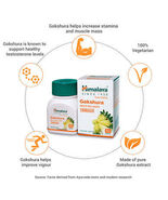 Gokshura Tribulus Terrestris tablets himalaya - $14.68