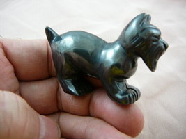 (Y-DOG-SCS-729) Black SCOTTISH Terrier Scottie dog FIGURINE carving SCHN... - $17.53