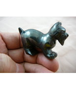 (Y-DOG-SCS-729) Black SCOTTISH Terrier Scottie dog FIGURINE carving SCHN... - £13.70 GBP