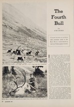 1954 Magazine Photos Hunter with Huge Bull Caribou &amp; Small Herd by Mountain - £13.25 GBP