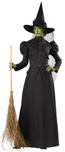 Morris Costumes - Witch Classic Deluxe Adult Costume - L - £126.86 GBP