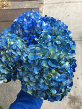 hydrangea dried 3 blue hydrangeas,blue Preserved Dyed Hydrangeas, dried floral , - £48.21 GBP