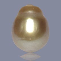 RARE Giant 15 x 19mm 29.6 Carat Deep Gold Philippines South Sea Loose Pearl - $607.99