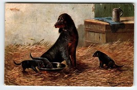 Cocker Spaniel Puppies Dog Postcard Muller Hunting Farm Rustic Crate Hay 3014 - £26.03 GBP