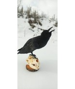 THE CROW TAXIDERMY FREE SHIPPING - £232.33 GBP
