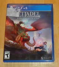 Citadel: Forged with Fire - Playstation 4 PS4 Online Sandbox RPG Video Game - $9.95
