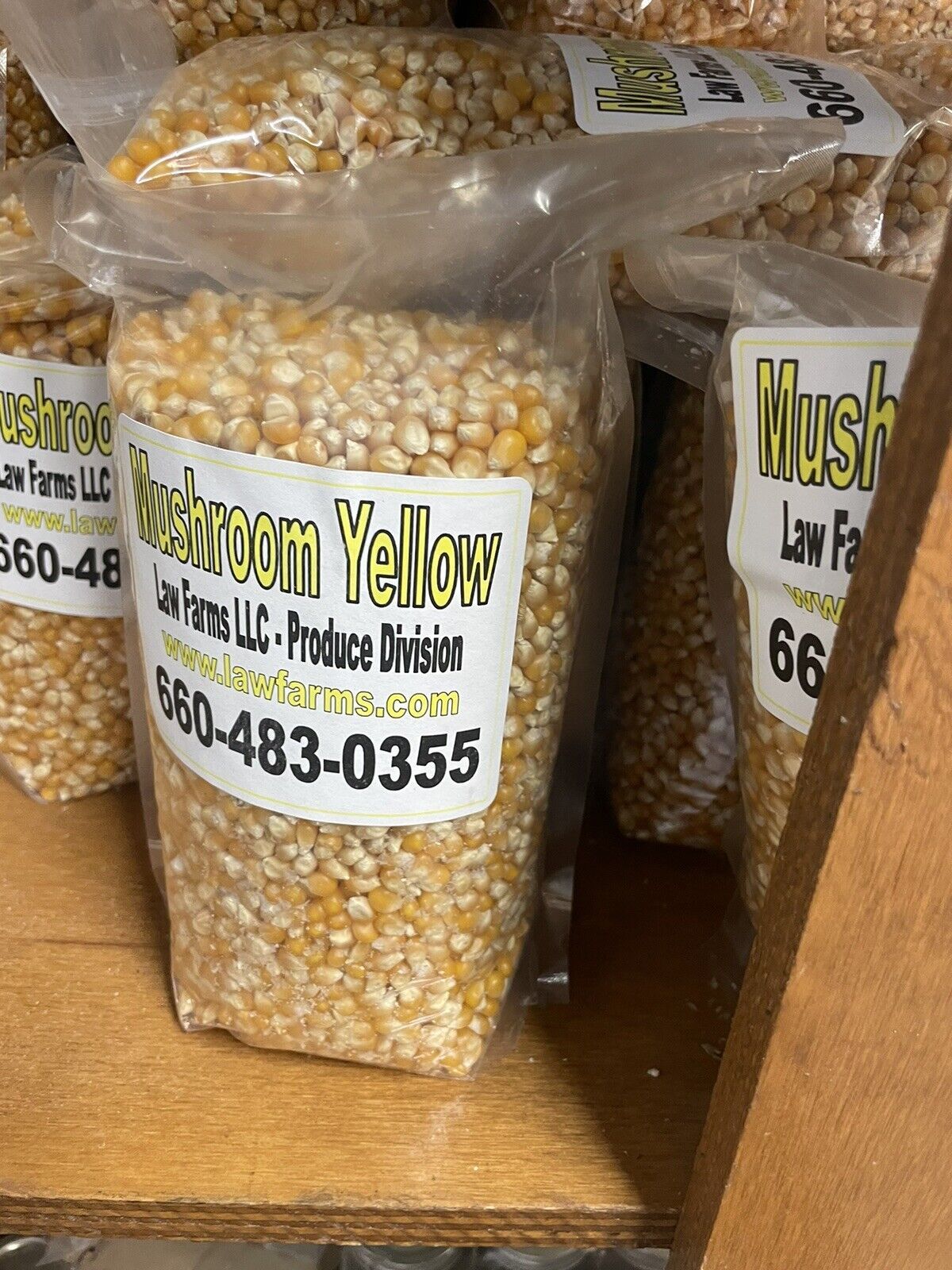 Primary image for Mushroom Popcorn Kernels, Non-GMO (6# Total