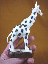 (TNE-GIR-241A) Standing African Giraffe Tagua Nut Figurine Carving Vegetable Art - £41.98 GBP