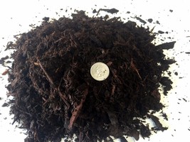 3.5 Gal. Aged Medium Fir Bark for Bonsai/Succulent/Cactus &amp; Seed Starting Soils - £6.40 GBP