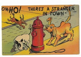 1942 Linen Curt Teich Comic Postcard- C-820 dogs fire hydrant "Stranger in Town" - $9.99