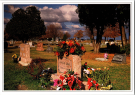 Vtg Postcard James Dean&#39;s Grave in Fairmount Covered by Floweres from admirers - £5.19 GBP
