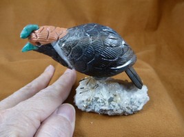 (Y-BIR-QU-44) Quail tan white black bird gemstone STONE figurine Peru quails - $40.19