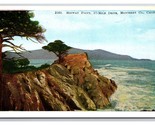 Lone Cypress Midway Point 17 Mile Drive Monterey CA UNP WB  Postcard V24 - £2.33 GBP