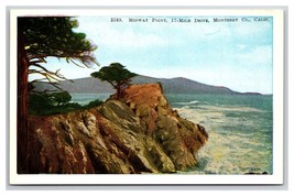 Lone Cypress Midway Point 17 Mile Drive Monterey CA UNP WB  Postcard V24 - £2.29 GBP