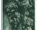 Eruption of Mount St Helens Washington WA UNP Continental Postcard Z8 - £3.06 GBP