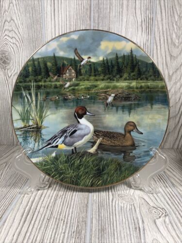 THE PINTAIL Plate Living With Nature: Jerner's Ducks Bart Jerner Knowles #1 Duck - $9.85