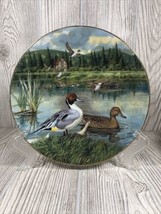 THE PINTAIL Plate Living With Nature: Jerner&#39;s Ducks Bart Jerner Knowles... - £7.71 GBP